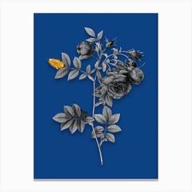 Vintage Turnip Roses Black and White Gold Leaf Floral Art on Midnight Blue n.0843 Canvas Print