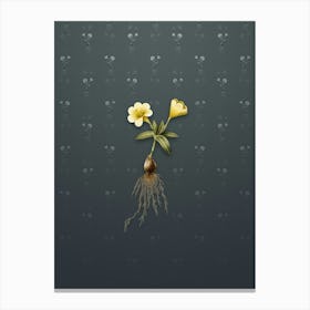 Vintage Cape Tulip b Botanical on Slate Gray Pattern n.0002 Canvas Print