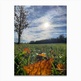 Autumn Leaves On Grass 1 Canvas Print