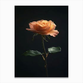 Single Rose 14 Canvas Print