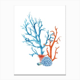 Watercolor Corals Isolated On White Background Canvas Print