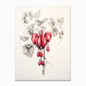 Bleeding Hearts Flower Vintage Botanical 0 Canvas Print
