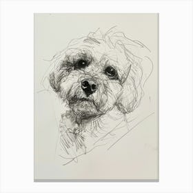 Bichon Frise Dog Charcoal Line 2 Canvas Print
