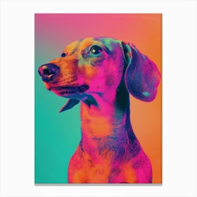 Polaroid Dog Portrait 2 Canvas Print