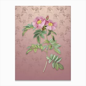 Vintage Shining Rosa Lucida Botanical on Dusty Pink Pattern Canvas Print