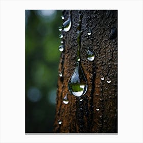 Raindrops On A Tree Canvas Print