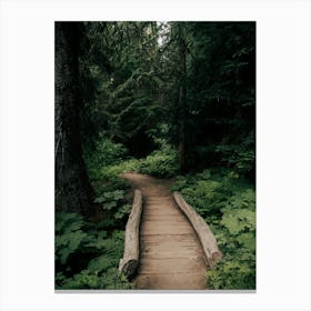 Green Forested Pathway Canvas Print