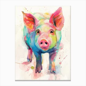 Pig Colourful Watercolour 4 Canvas Print