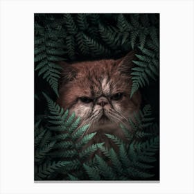 Peaknose Cat In Ferns Canvas Print