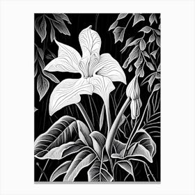 White Trillium Wildflower Linocut 1 Canvas Print