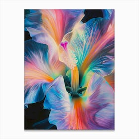 Hibiscus Canvas Print