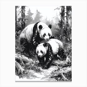 Giant Panda Playing Together In A Forest Ink Illustration 3 Canvas Print