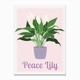 Peace Lily Houseplant Canvas Print