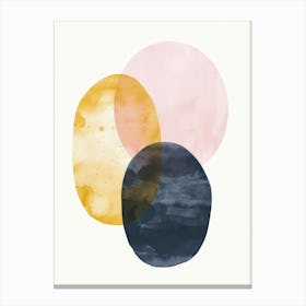 Abstract Circles Canvas Print 25 Canvas Print