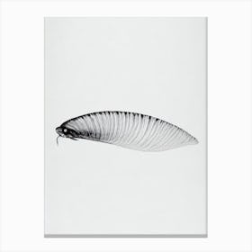 Sea Slug Black & White Drawing Canvas Print