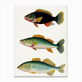 Lizardfish Vintage Poster Canvas Print