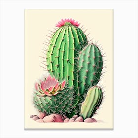 Notocactus Cactus Retro Drawing 2 Canvas Print