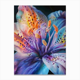 Close up Lily flower Canvas Print
