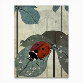 Illu Ladybug Canvas Print