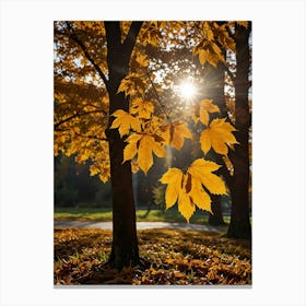 Autumn Leaves In The Park Canvas Print