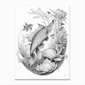 Shusui Koi Fish Haeckel Style Illustastration Canvas Print