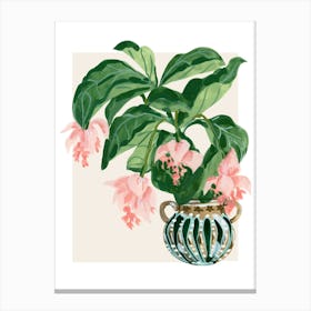 Fuchsia Canvas Print