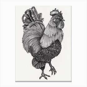 Rooster in Black and White Ink Canvas Print