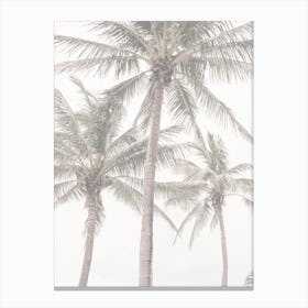 Palms On Beach Canvas Print