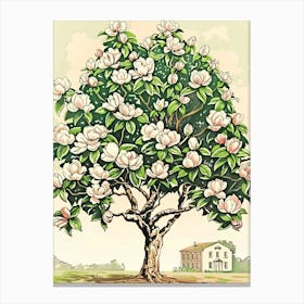 Magnolia Tree Storybook Illustration 1 Canvas Print