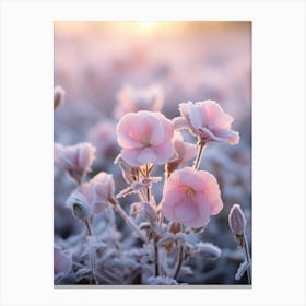 Frosty Botanical Evening Primrose 1 Canvas Print