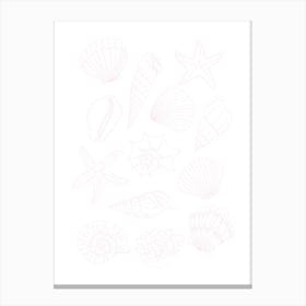 Light Pink Seashells Canvas Print