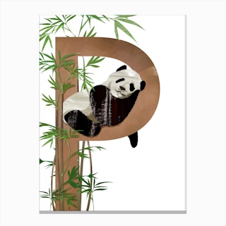 P Panda Canvas Print