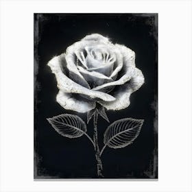 White Rose 2 Canvas Print