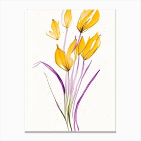 Saffron Herb Minimalist Watercolour 1 Canvas Print