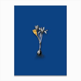 Vintage Autumn Crocus Black and White Gold Leaf Floral Art on Midnight Blue n.0586 Canvas Print