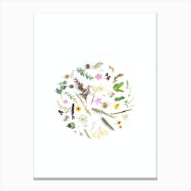 Wildflowers Canvas Print