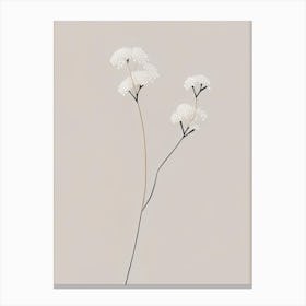 Baby's Breath Wildflower Simplicity Canvas Print