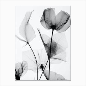 Black White Photograph Flowers W Canvas Print