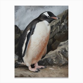 Adlie Penguin Stewart Island Ulva Island Oil Painting 4 Canvas Print