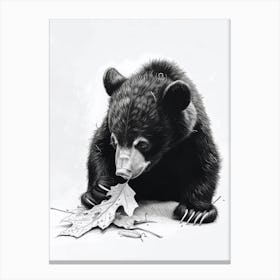 Malayan Sun Bear Cub Playing With A Fallen Leaf Ink Illustration 1 Canvas Print