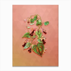 Vintage Twinning Red Cloak Flower Botanical Art on Peach Pink n.0990 Canvas Print