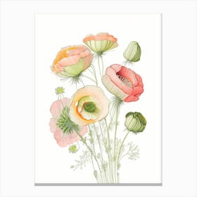 Ranunculus Floral Quentin Blake Inspired Illustration 2 Flower Canvas Print
