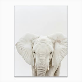 White Elephant Canvas Print