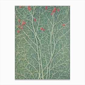 Staghorn Sumac 2 tree Vintage Botanical Canvas Print