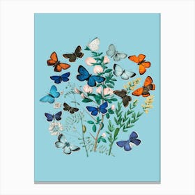 Vintgage Flowers Butterfly Floral Illustration Blue Canvas Print