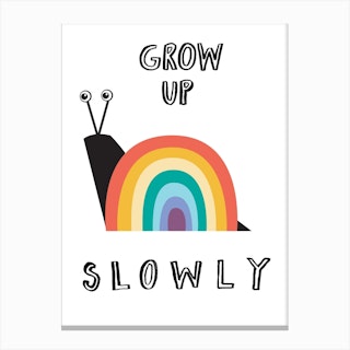 Grow Up Slowly Rainbow Canvas Print