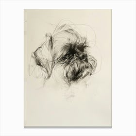 Shih Tzu Charcoal Line 3 Canvas Print