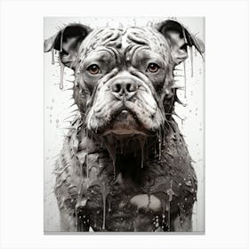 Wet Dog Canvas Print