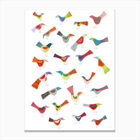 Rainbow Birds Doing Bird Things Canvas Print