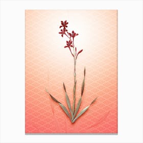 Bugle Lily Vintage Botanical in Peach Fuzz Hishi Diamond Pattern n.0022 Canvas Print
